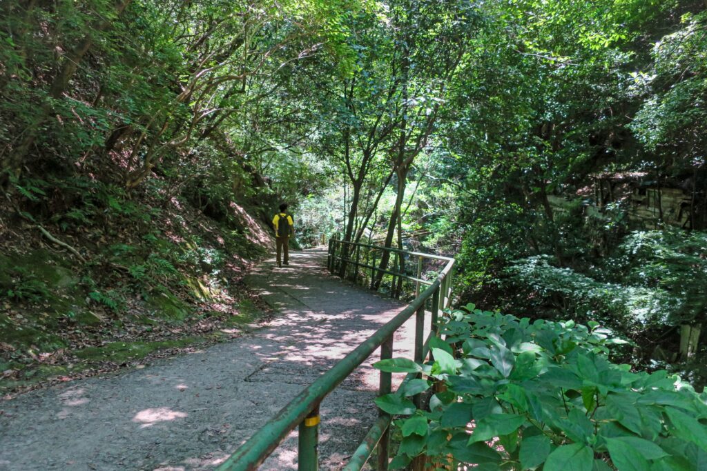 神戸市東灘区の六甲山系の登山口