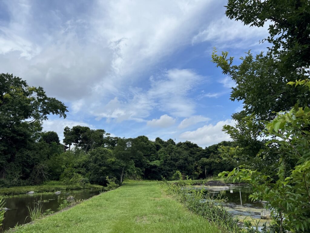 熊本市南区の川辺 熊本市南区の川辺