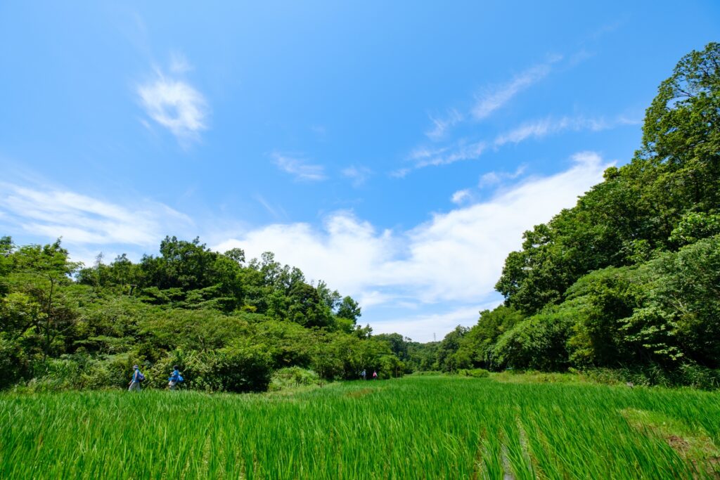 神奈川県座間市の自然風景