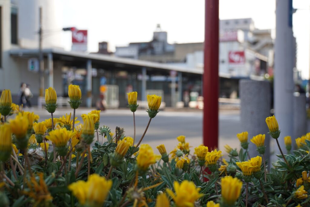 愛知県名古屋市瑞穂区の新瑞橋