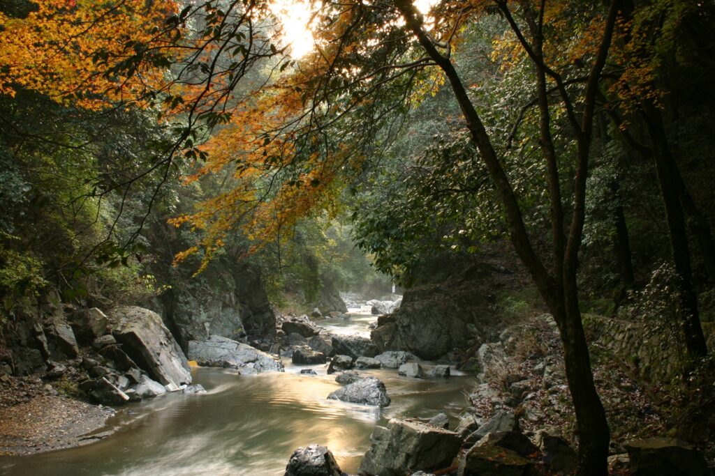 高槻市の摂津峡公園