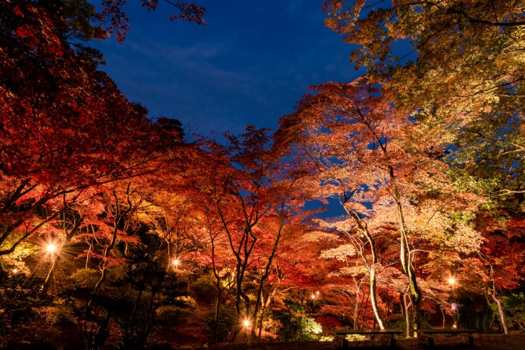 浜松市北区の龍潭寺秋の紅葉