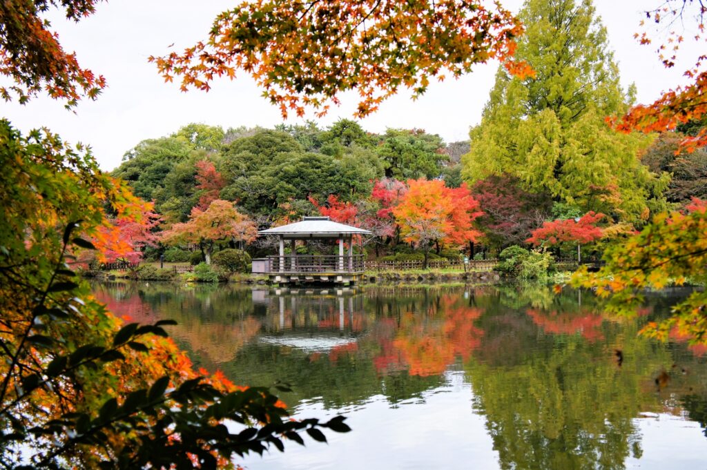 高岡市の高岡古城公園