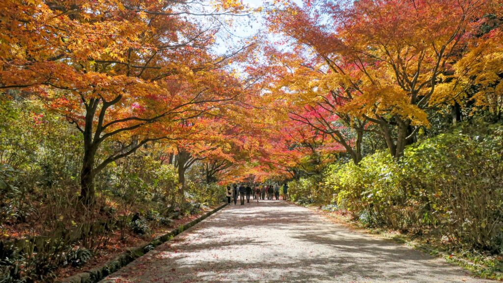 神戸市西区の六甲山系