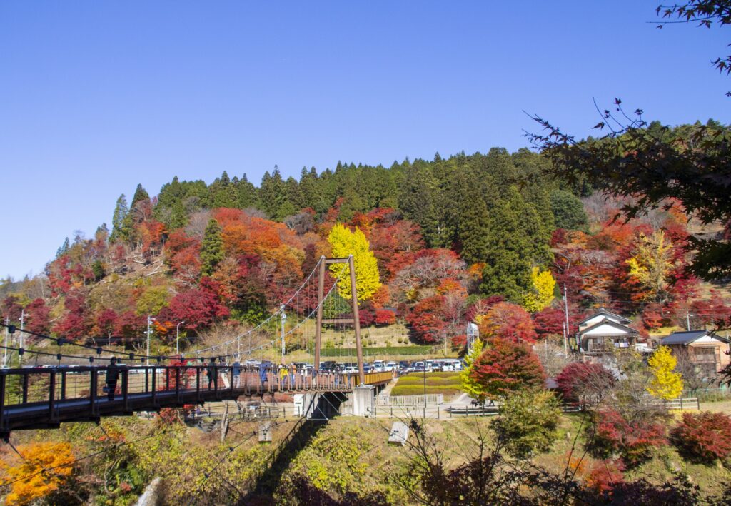 豊田市の大井平公園