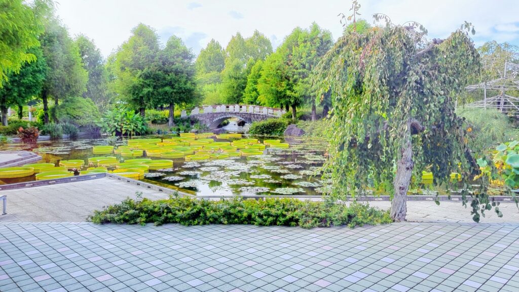 滋賀県草津市の水生植物公園みずの森