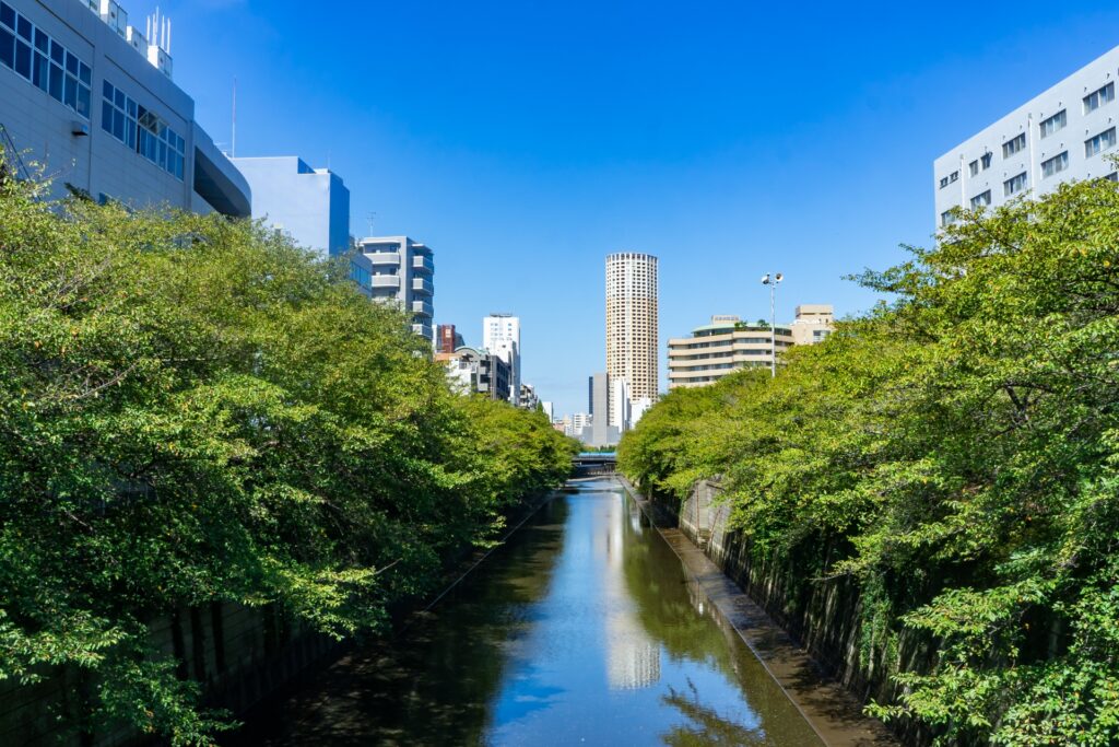 横浜市瀬谷区の目黒川に続く川