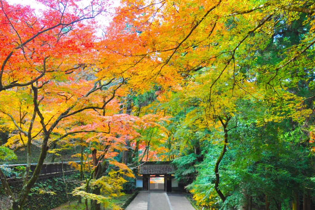 豊田市の香嵐渓