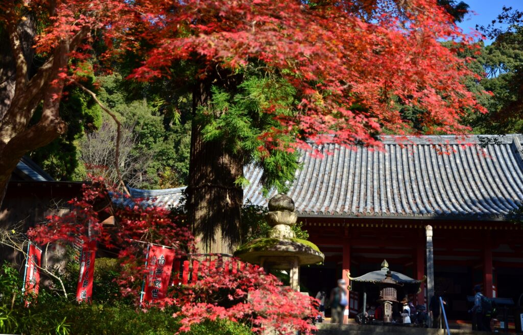 観心寺の境内と紅葉 富田林市の観心寺