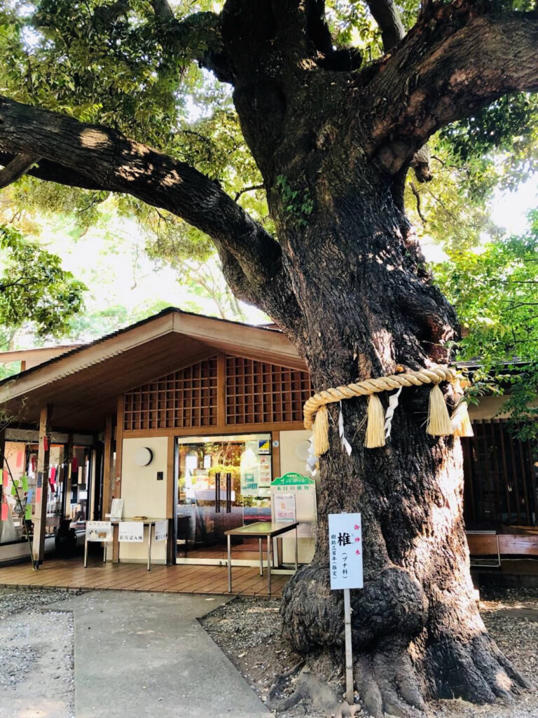 神奈川県座間市の樹木と神社