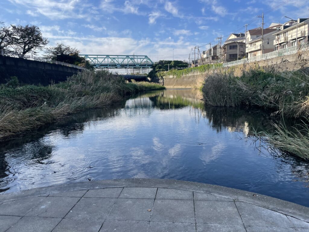 横浜市瀬谷区の阿久和川
