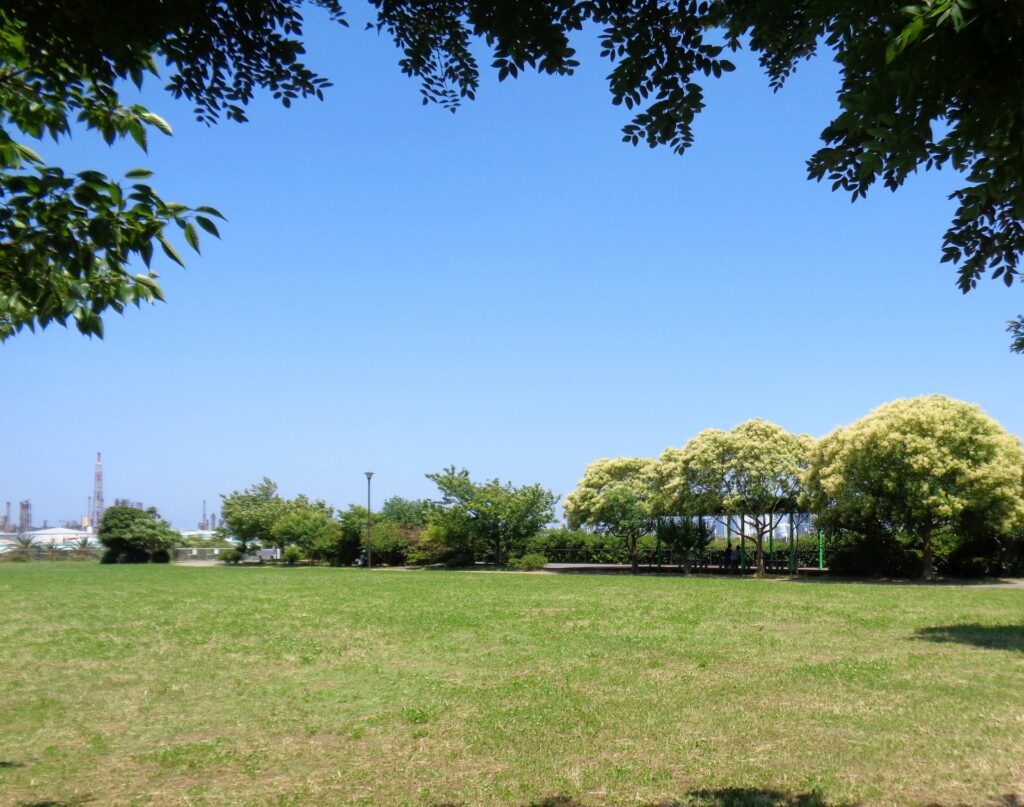 磯子区の公園
