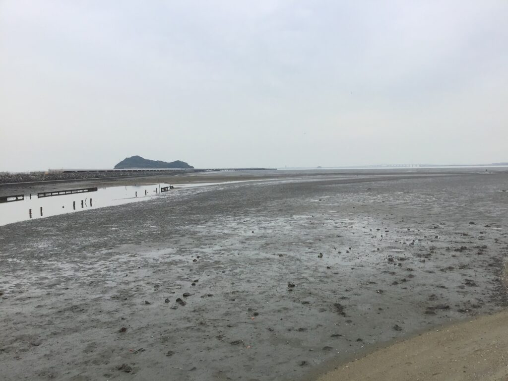 北九州市小倉南区の曽根干潟