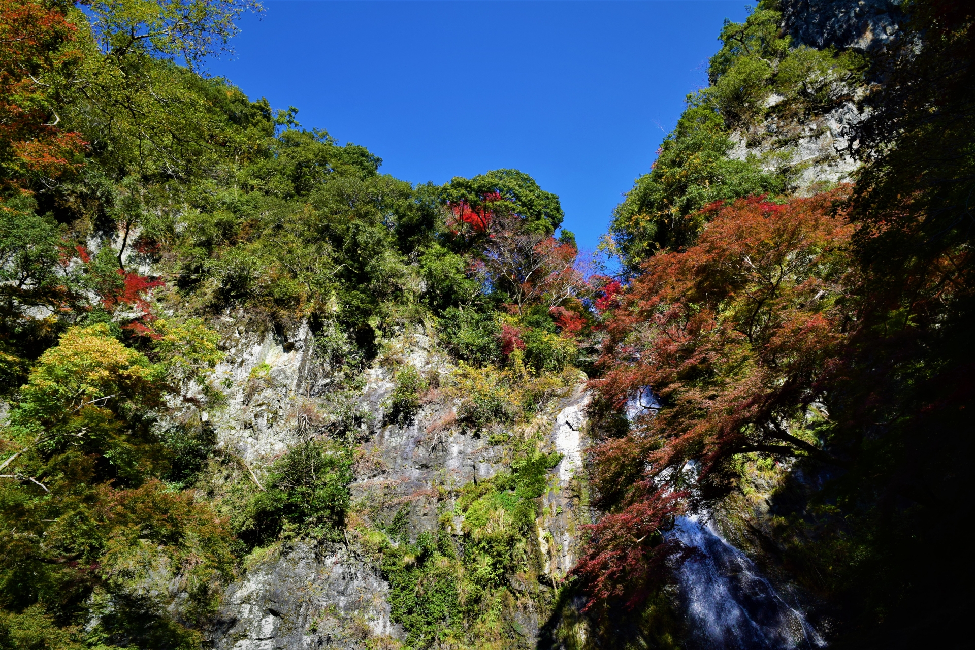 大阪府箕面市の滝