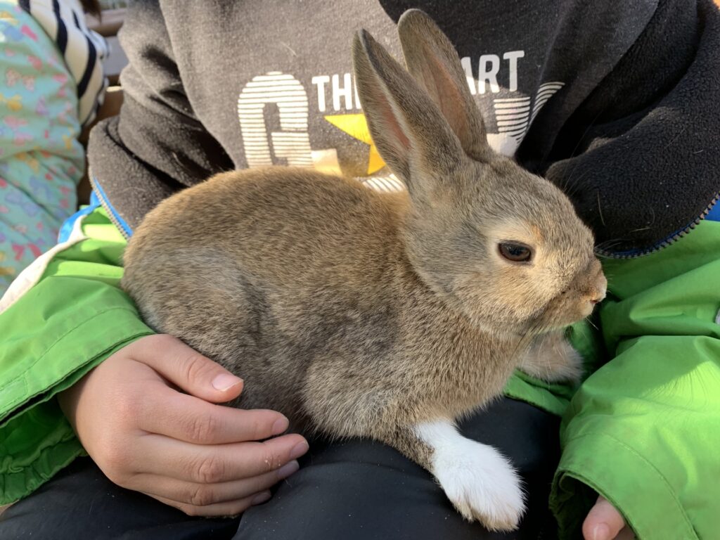 東海市のミニ動物ゾーン