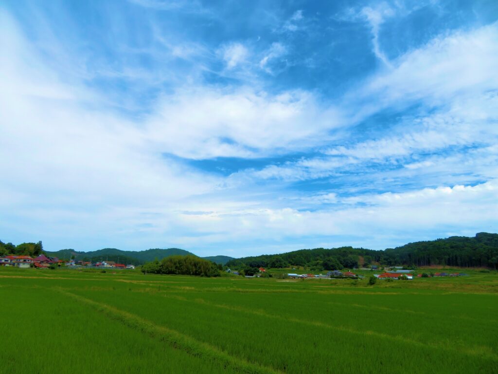 岡山市南区の田園風景