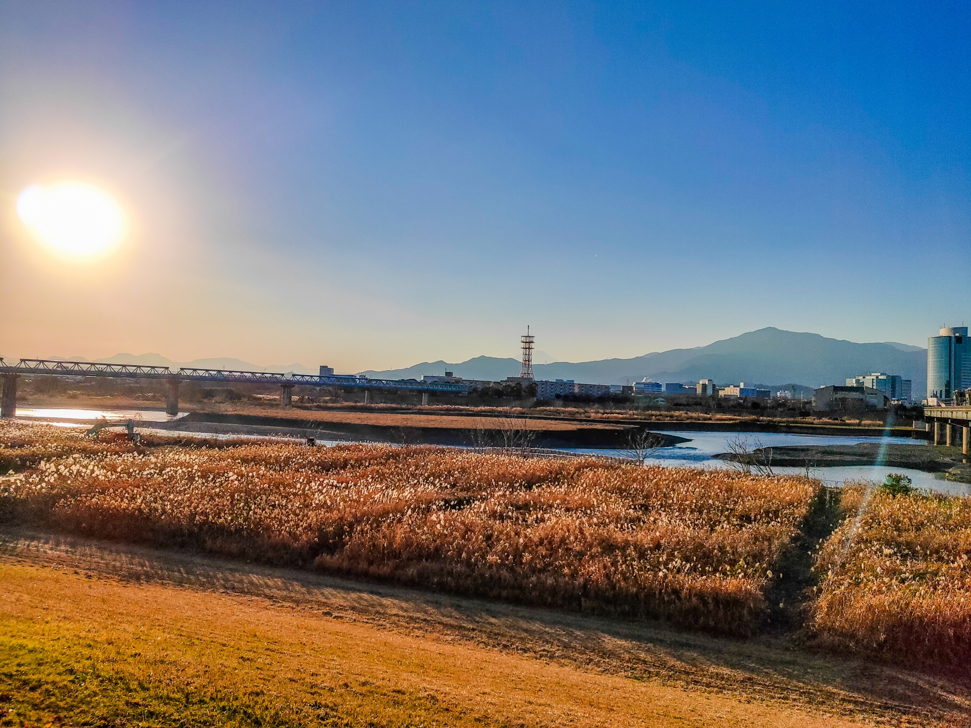 厚木市相模川の風景