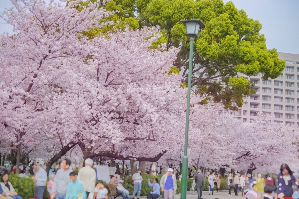 愛知県名古屋市の川名公園の桜まつり