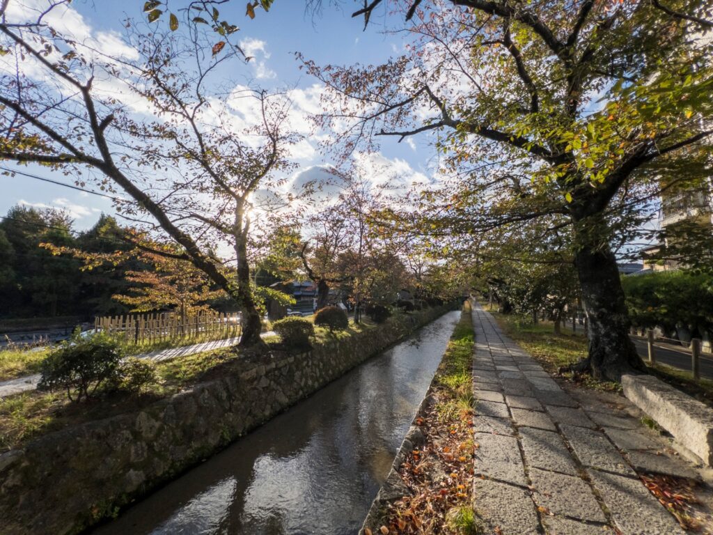 左京区の哲学の道