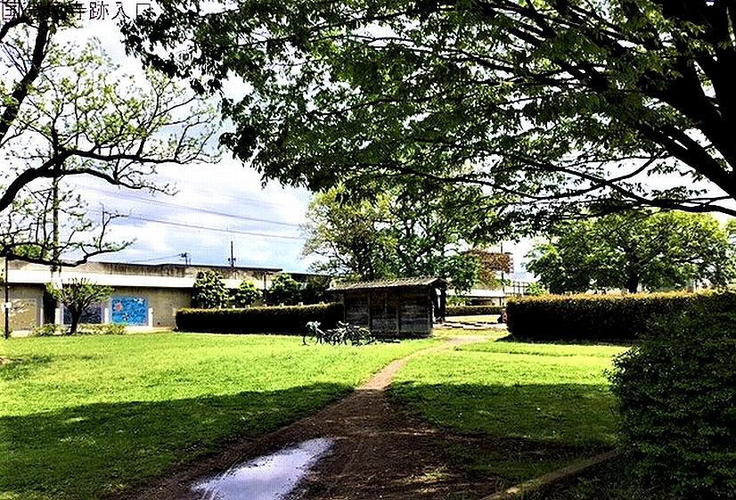 国分寺市の武蔵国分尼寺跡