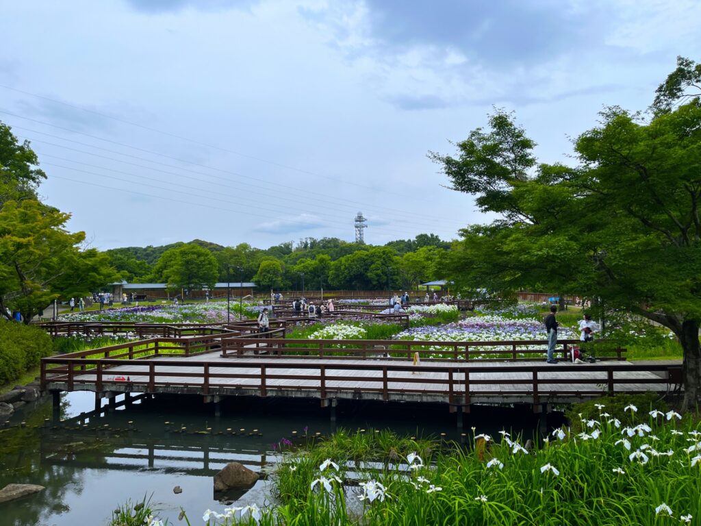 枚方市の山田池公園