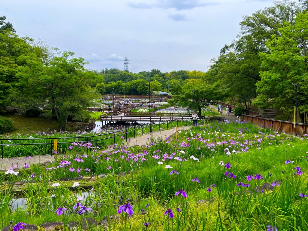 吹田市の山田池公園