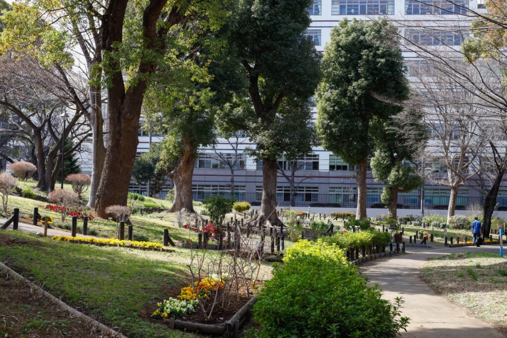 新宿区の戸山公園の芝生
