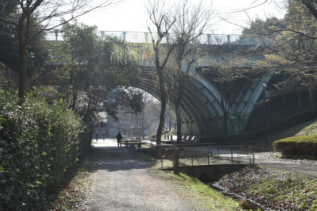 横浜市都筑区のくさぶえのみち