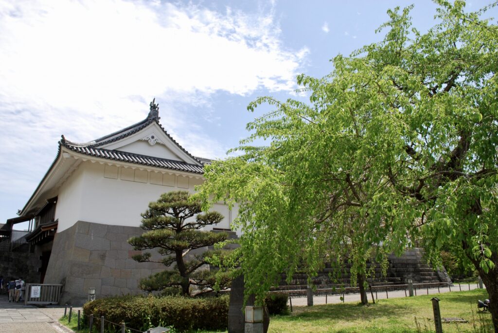 静岡県静岡市葵区の春の駿府城 静岡県静岡市葵区の春の駿府城