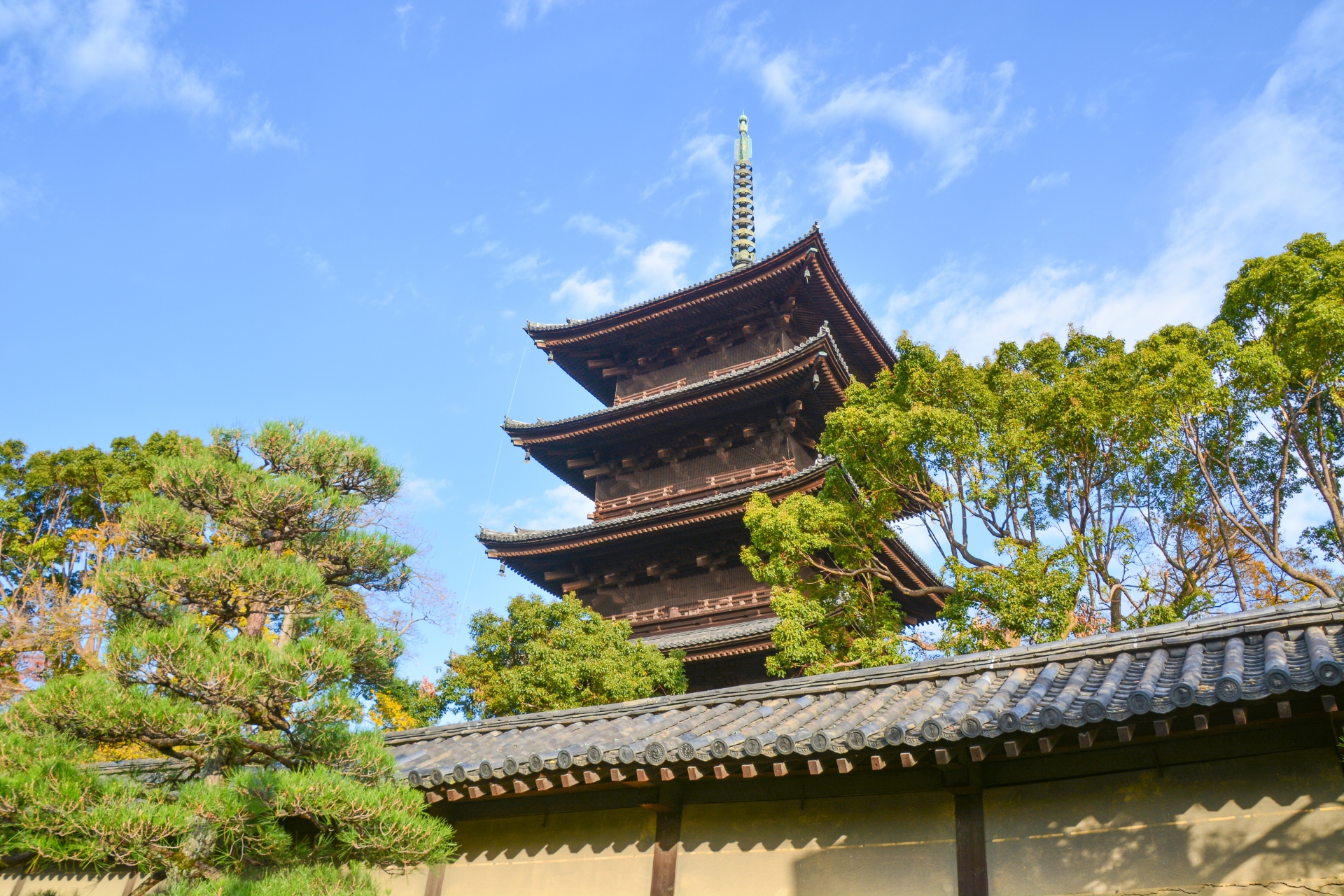 京都市南区の東寺と周辺観光スポット