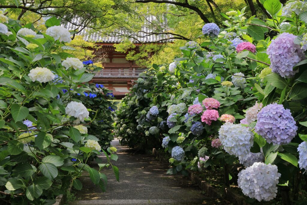 池田市の久安寺