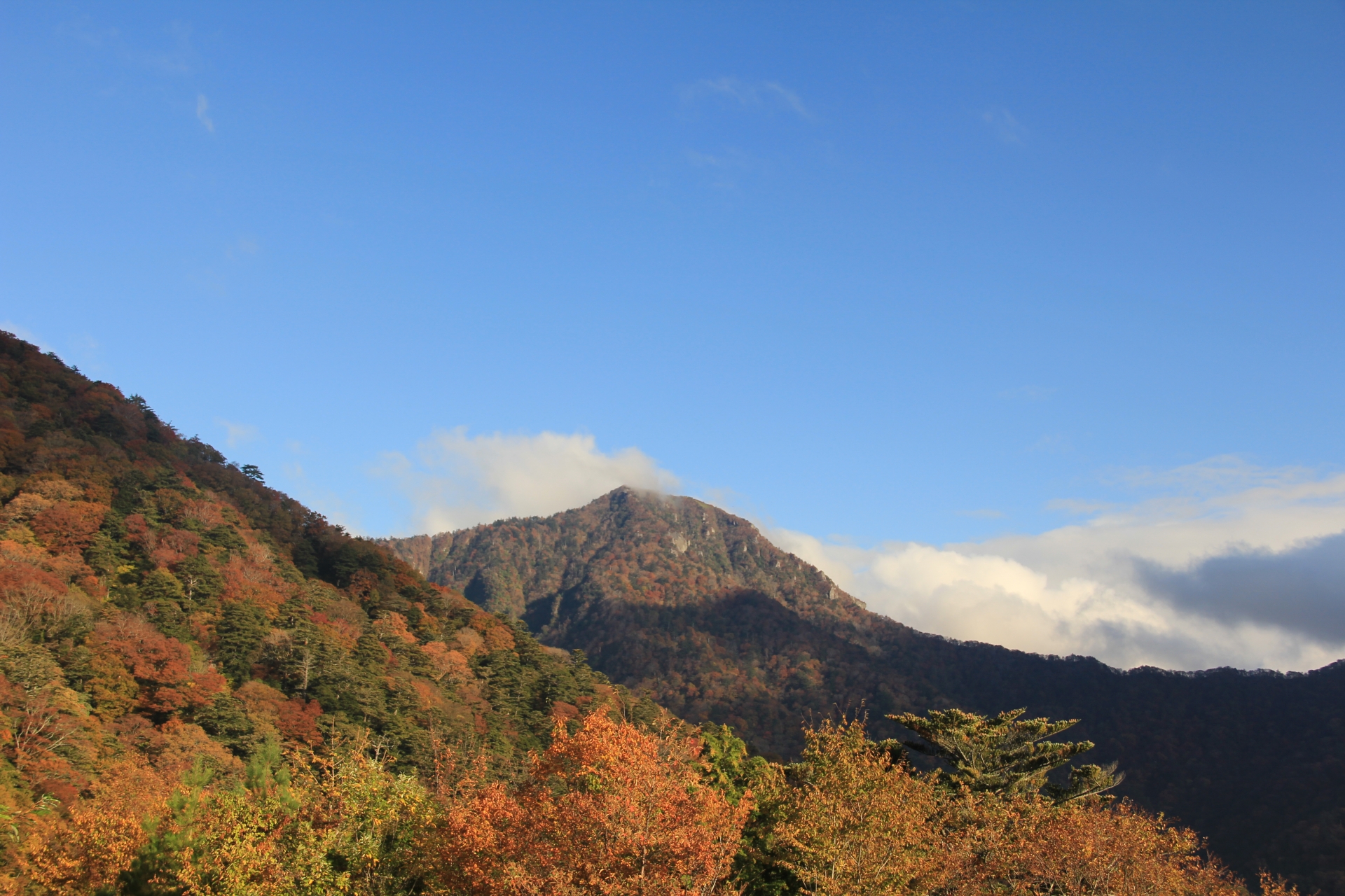 紅葉に染まる石鎚スカイラインの写真 西条市の石鎚スカイライン