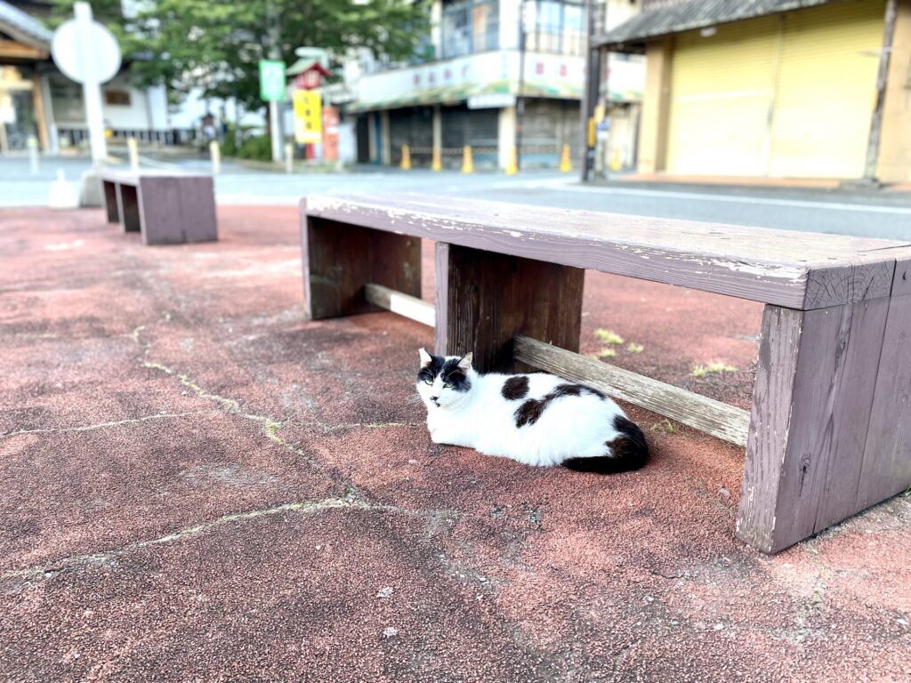 筑紫野市の二日市温泉街