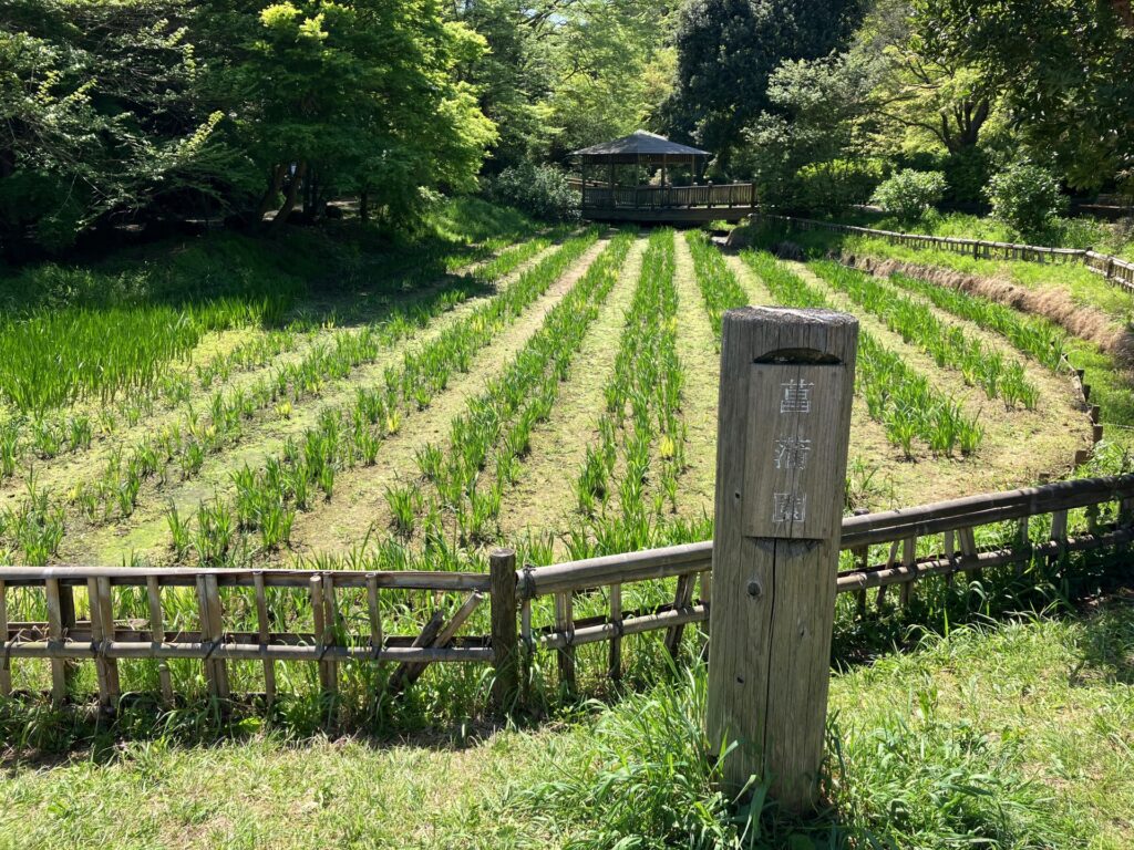 神奈川県川崎市多摩区の生田緑地