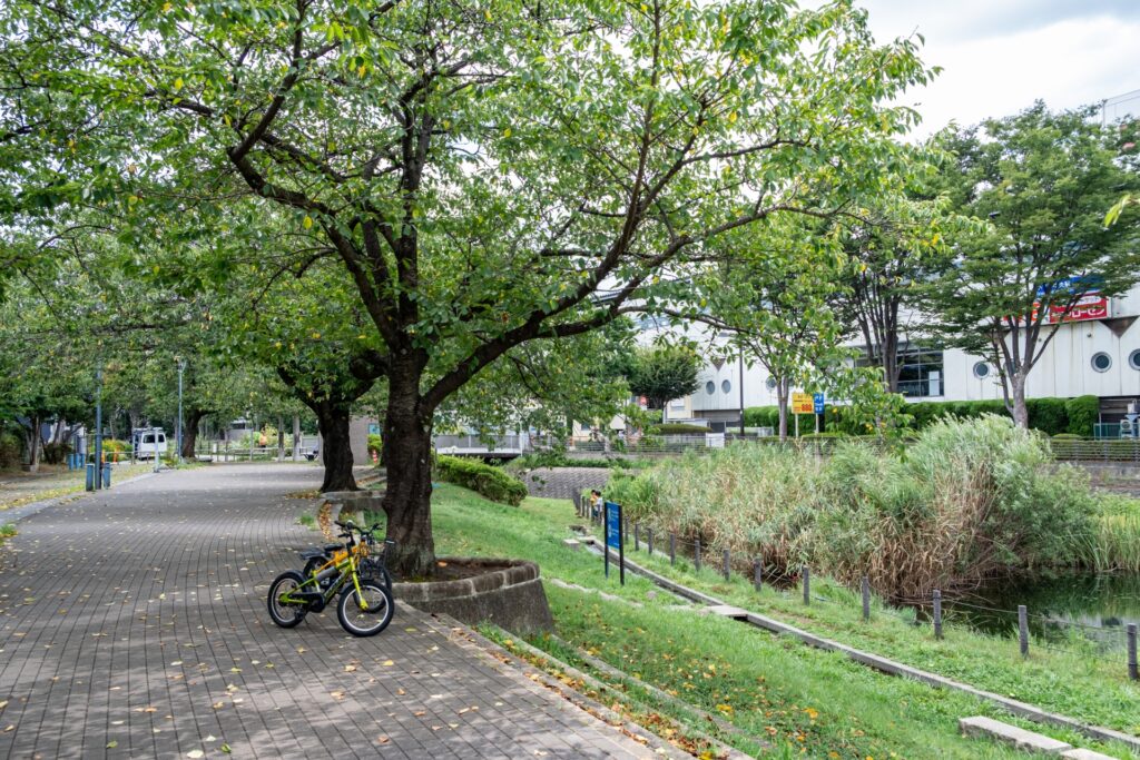 横浜市泉区の泉中央公園の広場