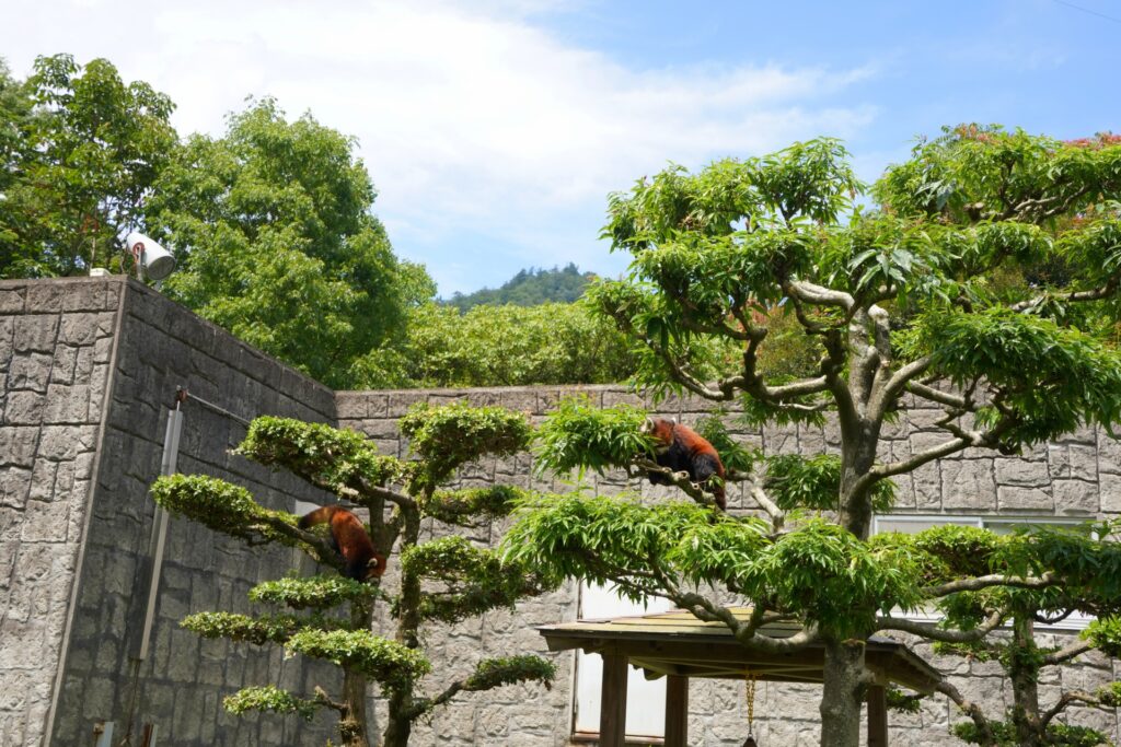 広島市安佐北区の動物園