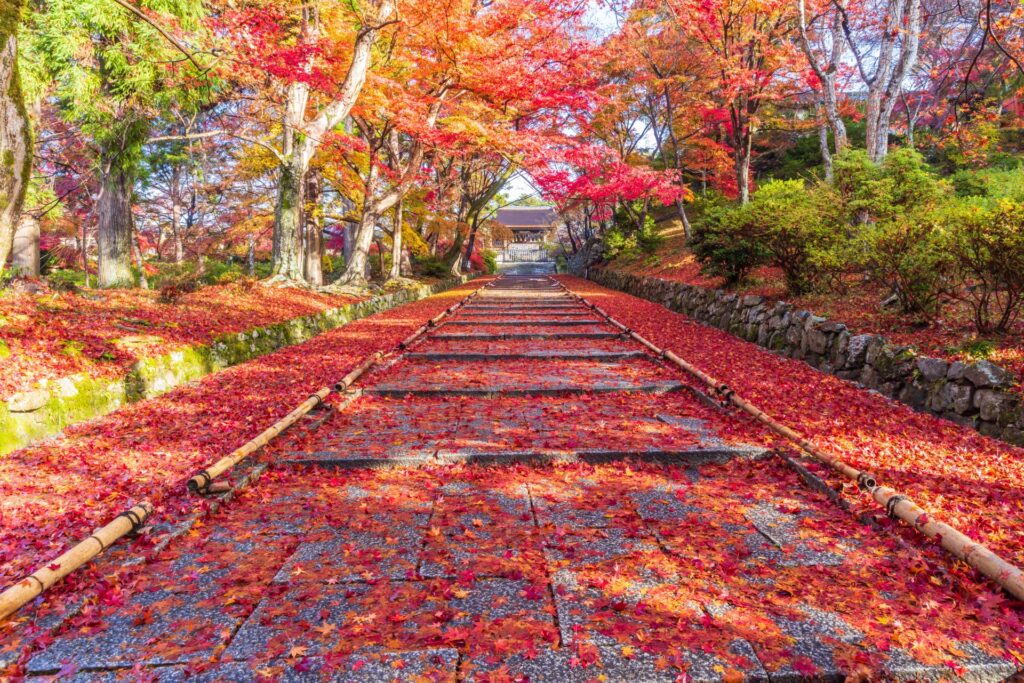 京都市山科区の毘沙門堂紅葉祭