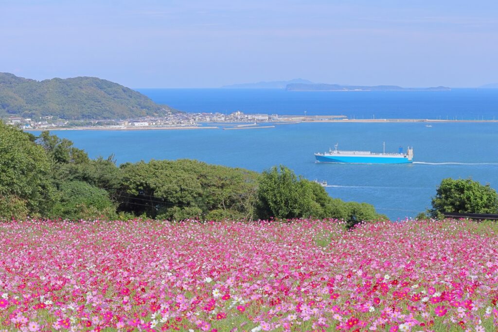 福岡市南区の展望台からの風景