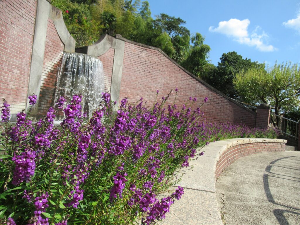 北区の半田山植物園