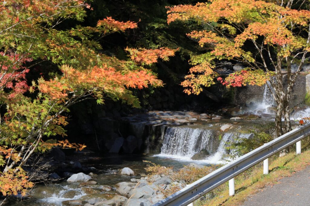 静岡県静岡市葵区の梅ヶ島温泉から見た紅葉