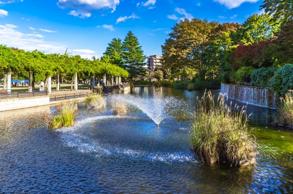 国分寺市の武蔵国分寺公園