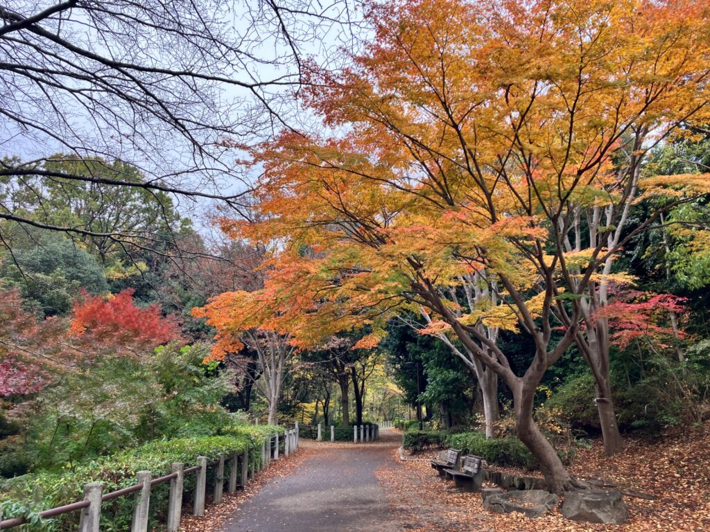 横浜市都筑区の茅ケ崎公園の遊歩道