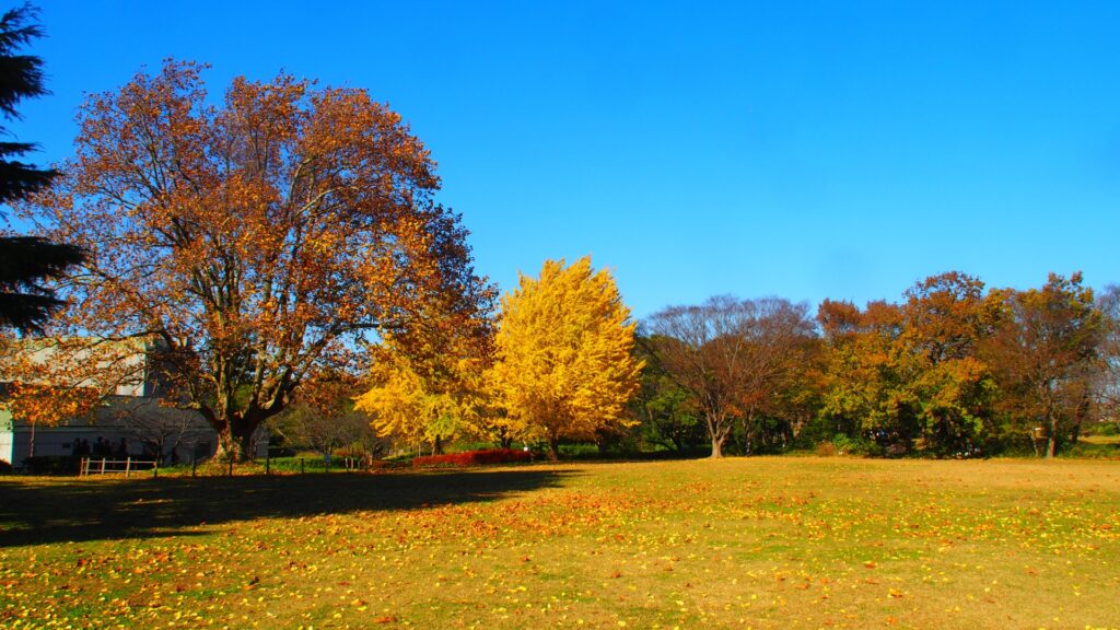 千葉市中央区の中央公園