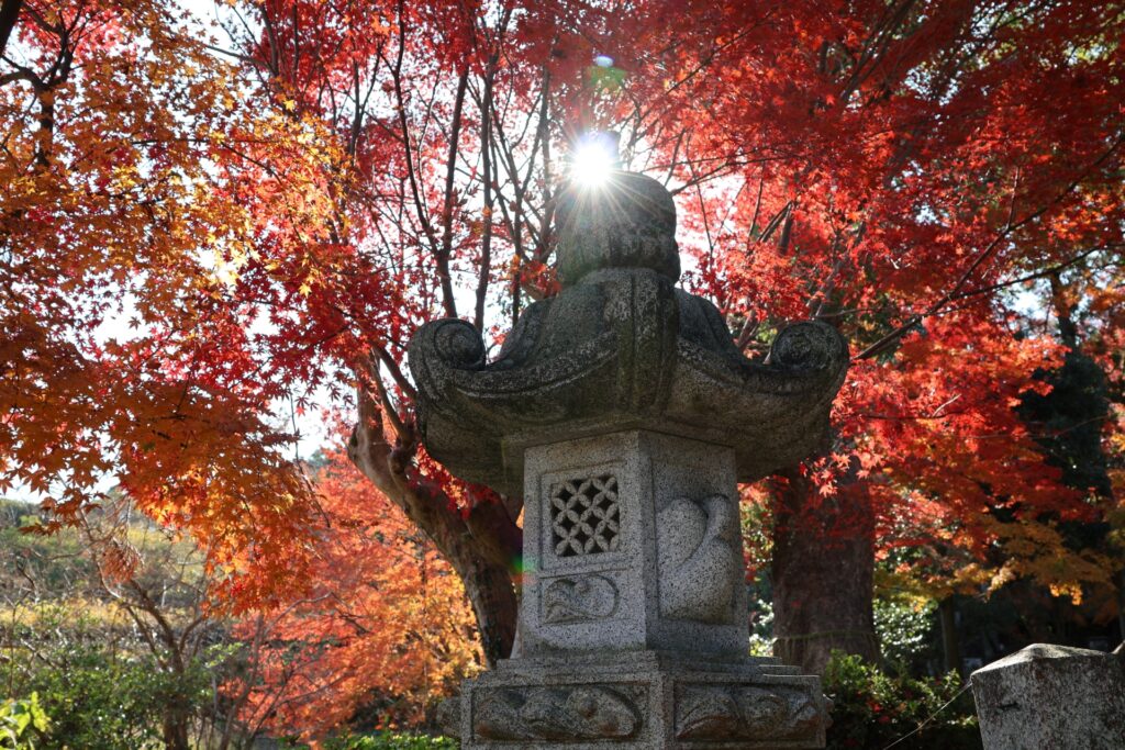 筑紫野市の夕暮れ