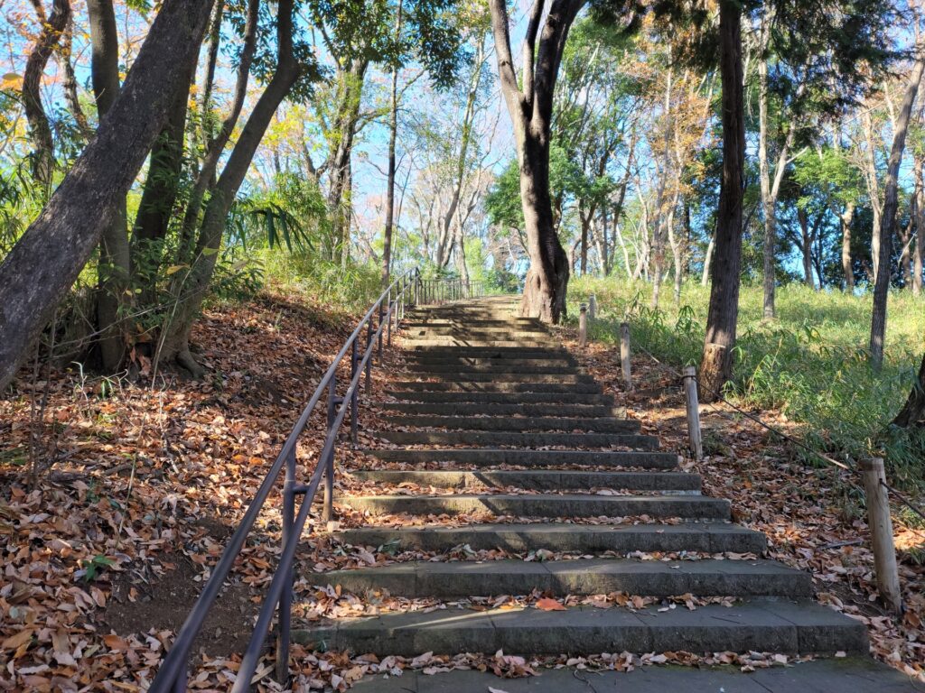 横浜市都筑区の都筑中央公園の散策路