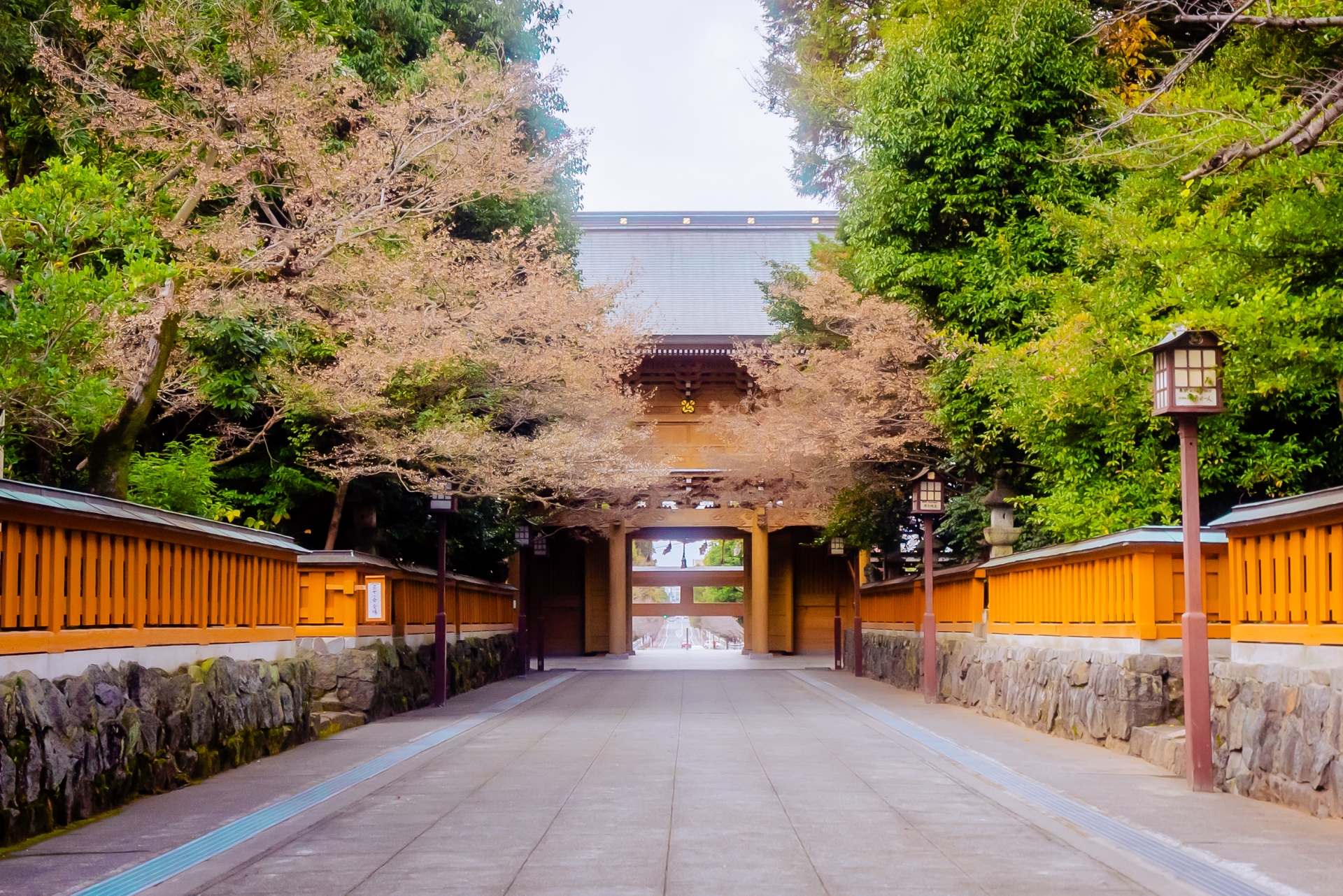熊本市の健軍神社