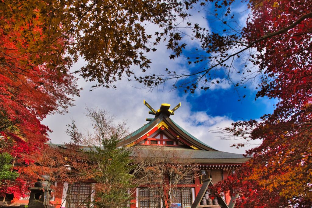 神奈川県伊勢原市の紅葉と大山寺 神奈川県伊勢原市の紅葉と大山寺