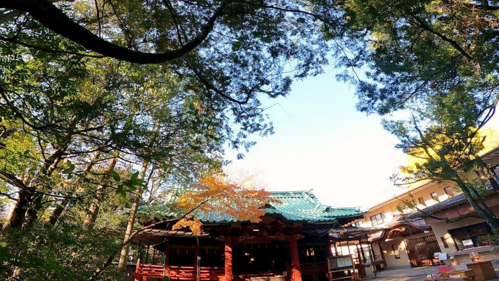 港区の氷川神社