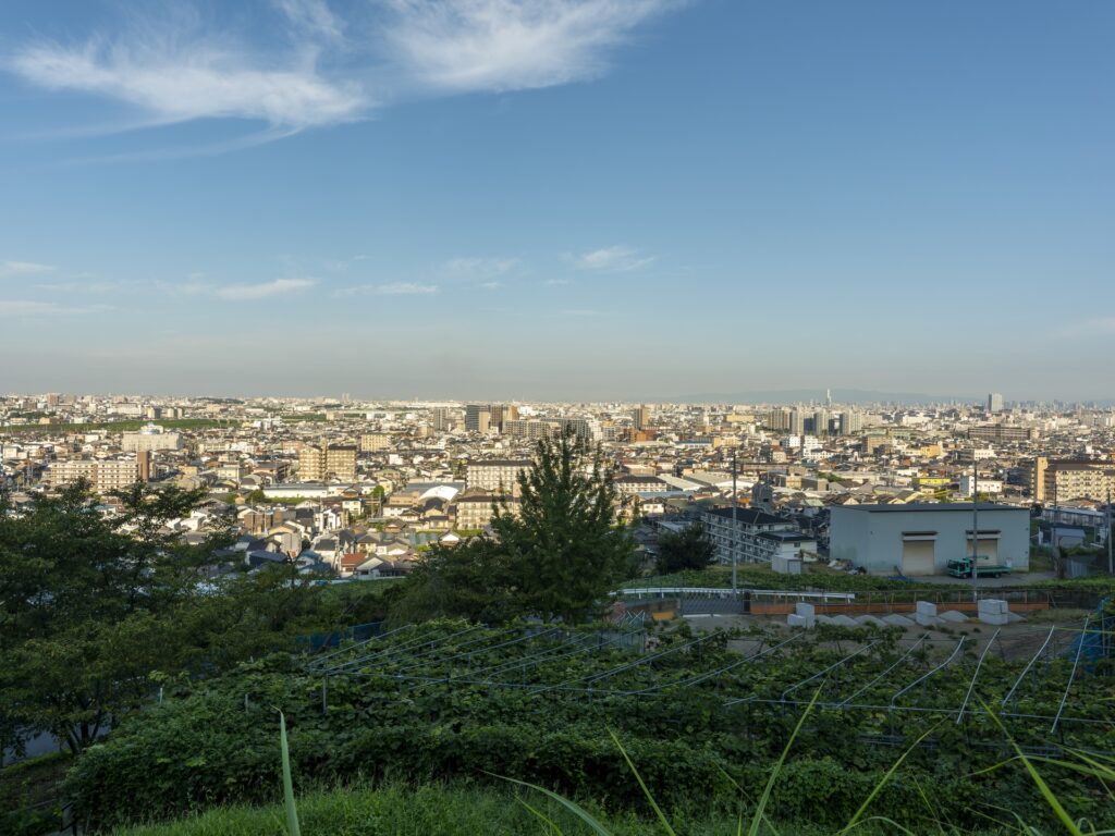 八尾市の市街地