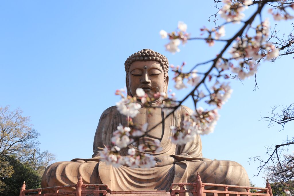 愛知県東海市の聚楽園大仏と桜